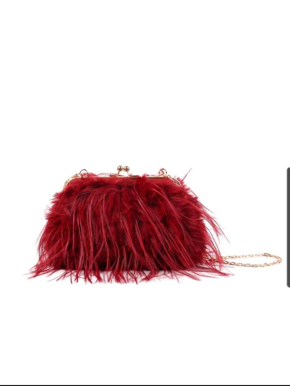 Red Feather Frame Clutch with Chain Strap